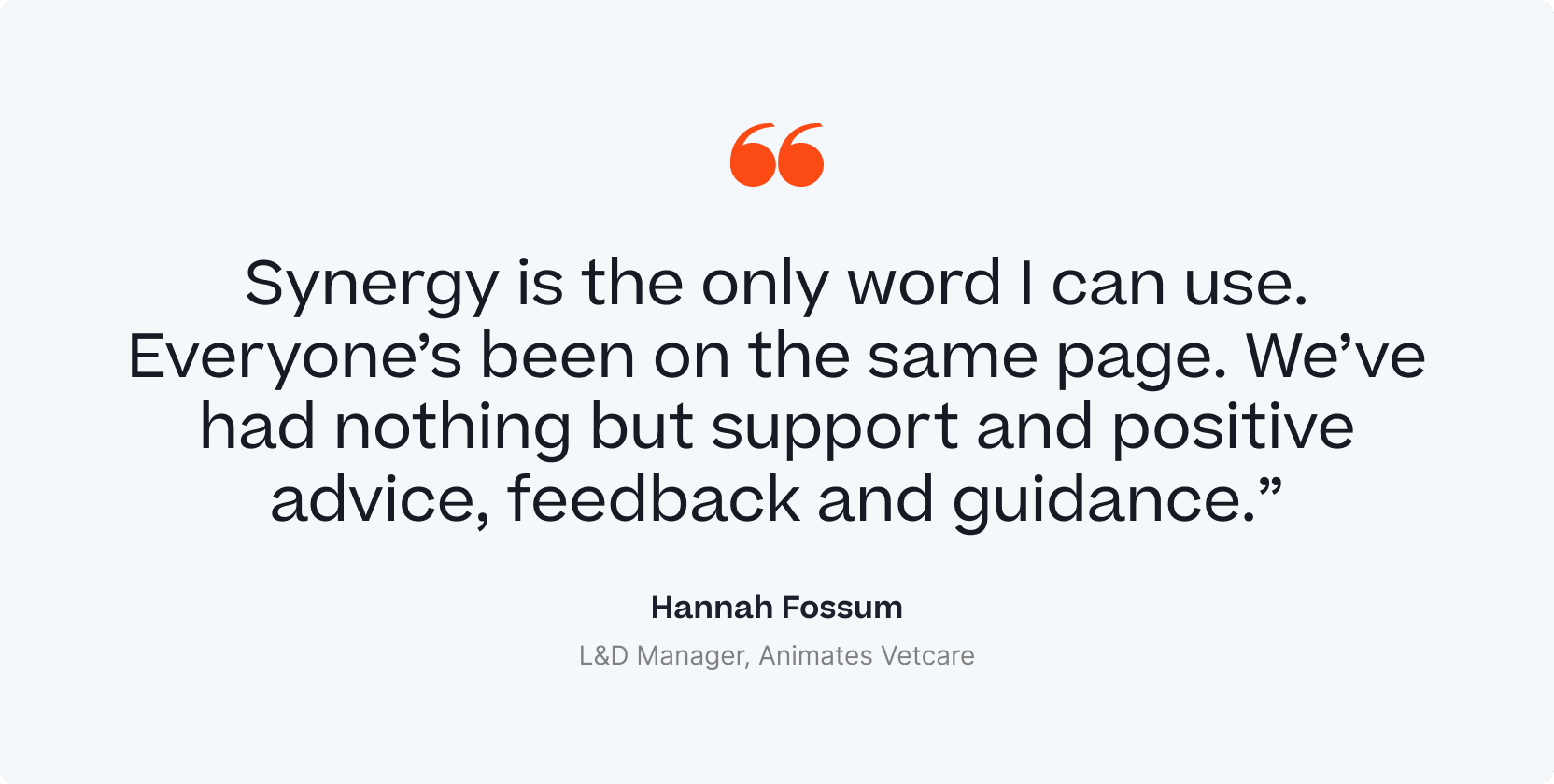 A quote from a L&D Manager stating that they have synergy.