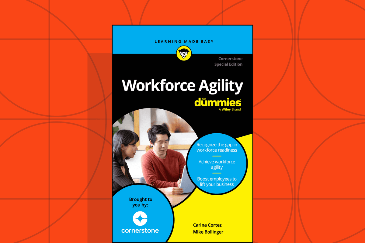 Workforce Agility For Dummies